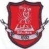                         CLSM
                                                    